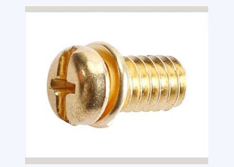 Washer Assembled Screw